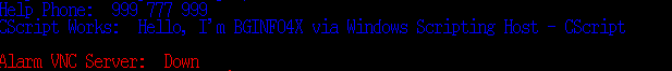 BGINFO4X - Windows Scripting Output